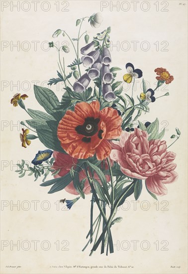 Collection of Flowers and Fruits Painted after Nature:  Bouquet of Foxglove, Clematis, Pansy, Peony, Poppy, and Yellow Day Lily, 1805. Louis Charles Ruotte (French, 1754-1806), after Jean Louis Prévost, published by Jean Louis Prévost. Color stipple with watercolor added by hand