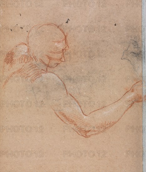 Verona Sketchbook: Nude with head and right arm (page 36), 1760. Francesco Lorenzi (Italian, 1723-1787). Red chalk with white heightening ; sheet: 32 x 23 cm (12 5/8 x 9 1/16 in.).