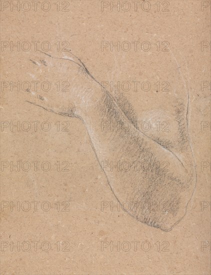 Verona Sketchbook: Left arm and hand (page 46), 1760. Francesco Lorenzi (Italian, 1723-1787). Black chalk with white heightening ; sheet: 32 x 23 cm (12 5/8 x 9 1/16 in.).