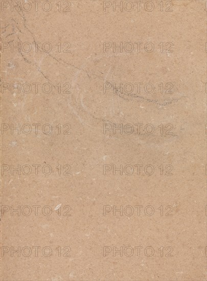 Verona Sketchbook: Arm (page 51), 1760. Francesco Lorenzi (Italian, 1723-1787). Black chalk ; sheet: 32 x 23 cm (12 5/8 x 9 1/16 in.).