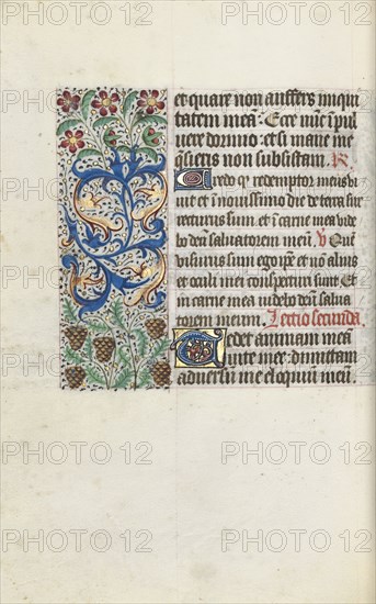 Book of Hours (Use of Rouen): fol. 115v, c. 1470. Master of the Geneva Latini (French, active Rouen, 1460-80). Ink, tempera, and gold on vellum; codex: 19.5 x 13.1 cm (7 11/16 x 5 3/16 in.)