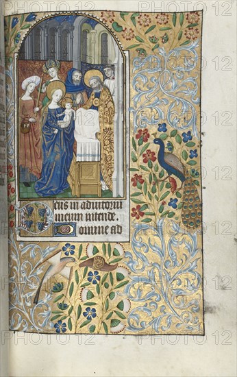 Book of Hours (Use of Rouen): fol. 67r, Presentation of the Christ Child in the Temple, c. 1470. Master of the Geneva Latini (French, active Rouen, 1460-80). Ink, tempera, and gold on vellum; codex: 19.5 x 13.1 cm (7 11/16 x 5 3/16 in.).