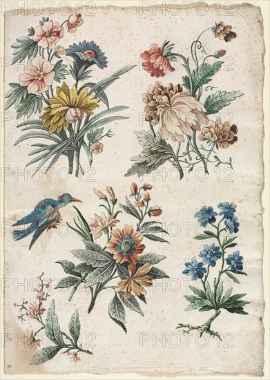 Floral Designs with a Blue Bird, c. 1773/74. Giacomo Cavenezia (Italian). Pen and black and brown ink, brush and black and brown wash, watercolor and gouache, over traces of black chalk; sheet: 32.3 x 22.8 cm (12 11/16 x 9 in.).
