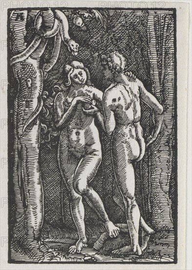 The Fall and Redemption of Man:  Adam and Eve Eating the Forbidden Fruit, c. 1513. Albrecht Altdorfer (German, c. 1480-1538). Woodcut
