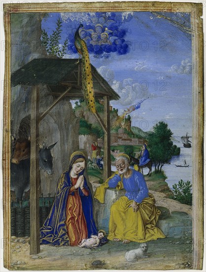 Single Miniature: The Nativity, c. 1515. Girolamo dai Libri (Italian, 1474-1555). Tempera and gold on parchment; sheet: 17 x 12 cm (6 11/16 x 4 3/4 in.).