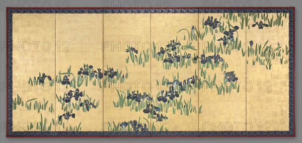 Irises, 1700s. Watanabe Shiko (Japanese, 1683-1755). Six-panel folding screen, ink and color on gilded paper; image: 152.8 x 360.4 cm (60 3/16 x 141 7/8 in.); overall: 164.6 x 372.4 cm (64 13/16 x 146 5/8 in.); closed: 170.8 x 64.5 x 12 cm (67 1/4 x 25 3/8 x 4 3/4 in.); panel: 164.8 x 62.1 cm (64 7/8 x 24 7/16 in.); with frame: 168.6 x 376.4 cm (66 3/8 x 148 3/16 in.).