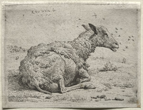 The Sheep and the Flies. Karel Dujardin (Dutch, c. 1622-1678). Etching