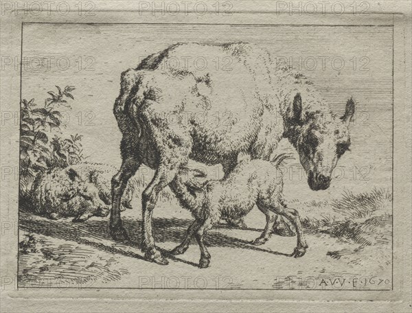 The Ewe and Two Lambs, 1670. Adriaen van de Velde (Dutch, 1636-1672). Etching
