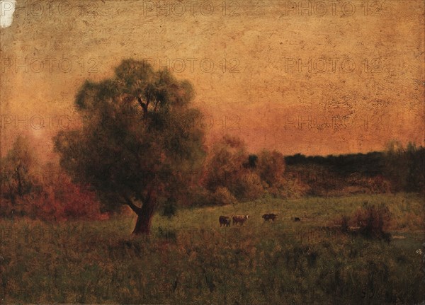 Cows in a Field. Imitator of George Inness (American, 1825-1894). Oil on canvas; unframed: 45.3 x 66 cm (17 13/16 x 26 in.).
