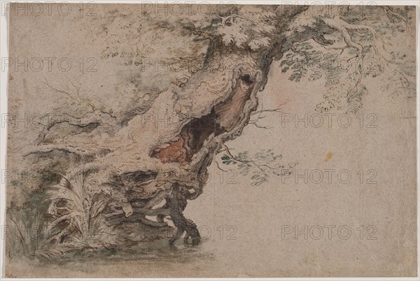 Hollow Tree, after Roelant Savery, after 1670. Lambert Doomer (Dutch, 1623-1700), copy after Roelant Savery (Flemish, 1576-1639). Pen and black and brown ink, black chalk, and  brush and green, brown, and orange wash; sheet: 31.7 x 47.4 cm (12 1/2 x 18 11/16 in.).