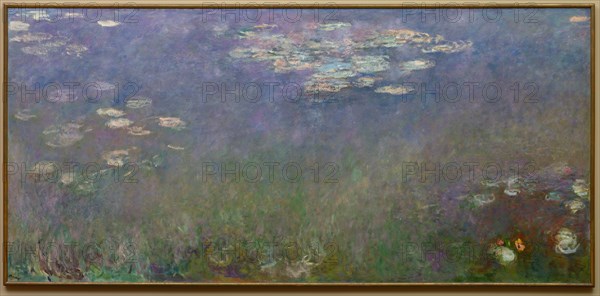 Water Lilies (Agapanthus), c.1915-1926. Claude Monet (French, 1840-1926). Oil on canvas; framed: 204.9 x 430.3 x 6 cm (80 11/16 x 169 7/16 x 2 3/8 in.); unframed: 201.3 x 425.6 cm (79 1/4 x 167 9/16 in.).