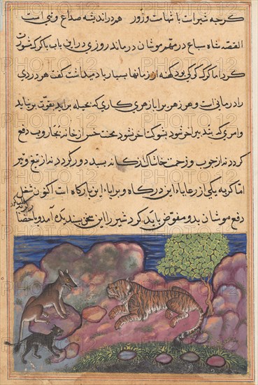 Page from Tales of a Parrot (Tuti-nama): Fifteenth night: The wolf advises the lion to consult the cat, 1558-1560. India, Mughal, Reign of Akbar, 16th century. Opaque watercolor, ink, and gold on paper;