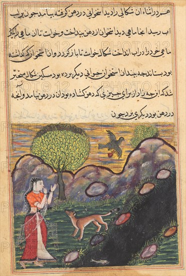 Page from Tales of a Parrot (Tuti-nama): Sixteenth night: The daughter-in-law of the king of Banaras sees the jackal deprived of its food by a bird, as it unsuccessfully attempts to catch a fish, c. 1560. India, Mughal, Reign of Akbar, 16th century. Opaque watercolor, ink and gold on paper;
