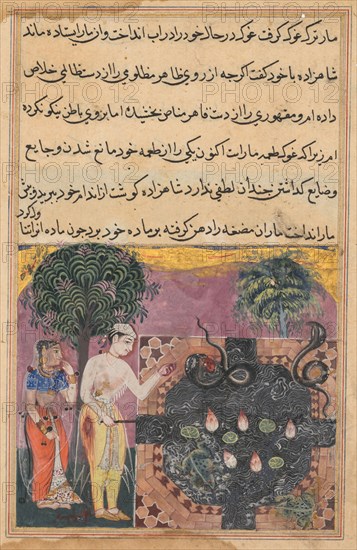 Page from Tales of a Parrot (Tuti-nama): Eighteenth night: The prince, having deprived the snake of its natural food, a frog, feeds it with a piece of his own flesh, c. 1560. India, Mughal, Reign of Akbar, 16th century. Opaque watercolor, ink and gold on paper;