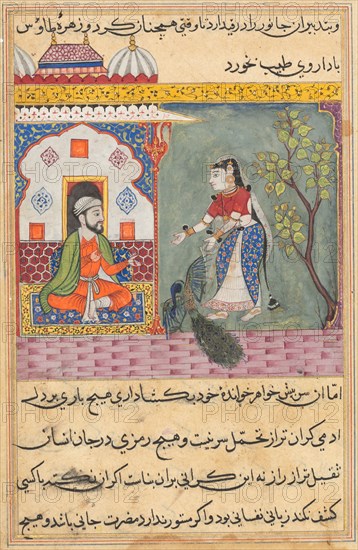 Page from Tales of a Parrot (Tuti-nama): Nineteenth night: The Brahman’s wife who killed a peacock and ate its gall bladder on the physician’s advice, c. 1560. India, Mughal, Reign of Akbar, 16th century. Opaque watercolor, ink and gold on paper
