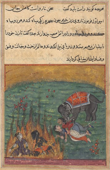 Page from Tales of a Parrot (Tuti-nama): Twenty-second night: As punishment, the jester’s wife and the Zangi are thrown into fire and the amir’s wife and the mahout are trampled by an elephant, c. 1560. India, Mughal, Reign of Akbar, 16th century. Opaque watercolor, ink and gold on paper;