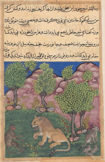Tuti-Nama (Tales of a Parrot): Tale XXVIII: The Monkey Advises the Suspicious Lion to Cast off Fear and Take Possession of His Territory, c. 1560. India, Mughal, Reign of Akbar, 16th century. Color and gold on paper; overall: 20.3 x 14 cm (8 x 5 1/2 in.).