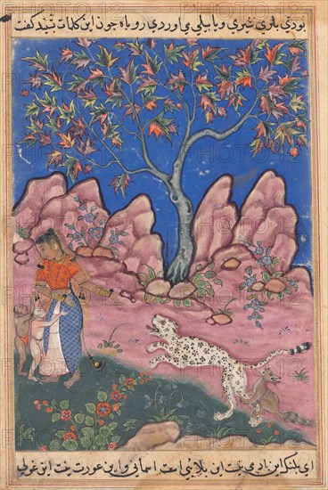 Page from Tales of a Parrot (Tuti-nama): Thirtieth night: The woman conversing with her children, as the leopard returns, egged on by a fox who is tied to his leg, c. 1560. India, Mughal, Reign of Akbar, 16th century. Opaque watercolor, ink and gold on paper;