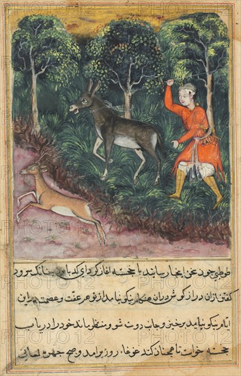Page from Tales of a Parrot (Tuti-nama): Forty-first night: The gardener seizes and beats a donkey who insisted on braying, while the deer, its companion, flees to safety, c. 1560. India, Mughal, Reign of Akbar, 16th century. Opaque watercolor, ink and gold on paper;