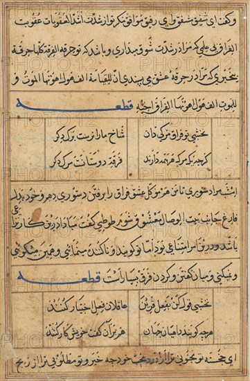 Page from Tales of a Parrot (Tuti-nama): text page, c. 1560. India, Mughal, Reign of Akbar, 16th century. Ink and gold on paper; overall: 20 x 14.2 cm (7 7/8 x 5 9/16 in.); text field: 16.6 x 10.6 cm (6 9/16 x 4 3/16 in.).