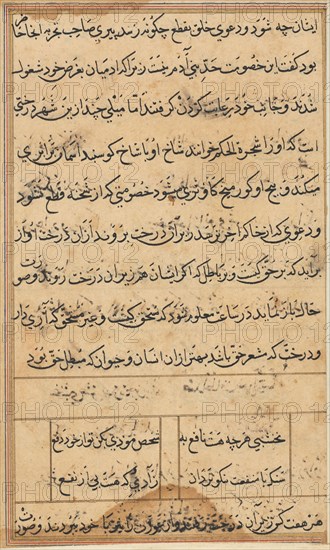 Page from Tales of a Parrot (Tuti-nama): text page, c. 1560. India, Mughal, Reign of Akbar, 16th century. Ink and gold on paper; overall: 20 x 14.1 cm (7 7/8 x 5 9/16 in.); text field: 16.6 x 9.9 cm (6 9/16 x 3 7/8 in.).