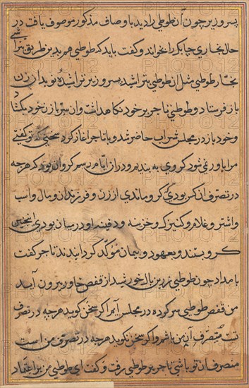 Page from Tales of a Parrot (Tuti-nama): text page, c. 1560. India, Mughal, Reign of Akbar, 16th century. Ink and gold on paper; overall: 20 x 14.4 cm (7 7/8 x 5 11/16 in.); text field: 16.2 x 10.2 cm (6 3/8 x 4 in.).