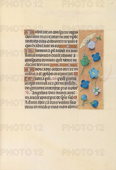 Hours of Queen Isabella the Catholic, Queen of Spain: Fol. 110r, c. 1500. And associates Master of the First Prayerbook of Maximillian (Flemish, c. 1444-1519). Ink, tempera, and gold on vellum; codex: 22.5 x 15.2 cm (8 7/8 x 6 in.)