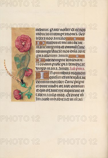 Hours of Queen Isabella the Catholic, Queen of Spain: Fol. 110v, c. 1500. And associates Master of the First Prayerbook of Maximillian (Flemish, c. 1444-1519). Ink, tempera, and gold on vellum; codex: 22.5 x 15.2 cm (8 7/8 x 6 in.)