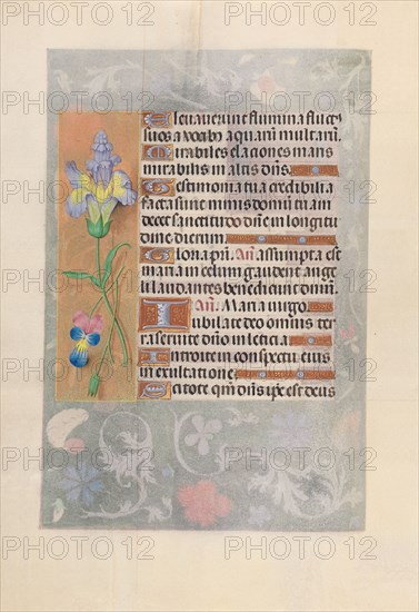 Hours of Queen Isabella the Catholic, Queen of Spain: Fol. 116v, c. 1500. And associates Master of the First Prayerbook of Maximillian (Flemish, c. 1444-1519). Ink, tempera, and gold on vellum; codex: 22.5 x 15.2 cm (8 7/8 x 6 in.)