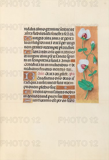 Hours of Queen Isabella the Catholic, Queen of Spain: Fol. 123r, c. 1500. And associates Master of the First Prayerbook of Maximillian (Flemish, c. 1444-1519). Ink, tempera, and gold on vellum; codex: 22.5 x 15.2 cm (8 7/8 x 6 in.)