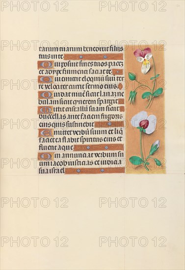 Hours of Queen Isabella the Catholic, Queen of Spain: Fol. 150r, c. 1495-1500. And associates Master of the First Prayerbook of Maximillian (Flemish, c. 1444-1519). Ink, tempera, and gold on vellum; codex: 22.5 x 15.2 cm (8 7/8 x 6 in.).