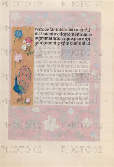 Hours of Queen Isabella the Catholic, Queen of Spain: Fol. 180v, c. 1500. And associates Master of the First Prayerbook of Maximillian (Flemish, c. 1444-1519). Ink, tempera, and gold on vellum; codex: 22.5 x 15.2 cm (8 7/8 x 6 in.)