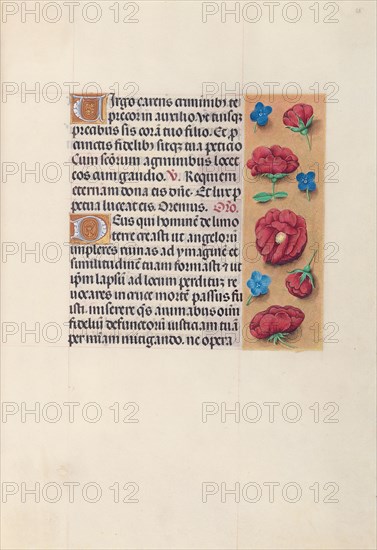 Hours of Queen Isabella the Catholic, Queen of Spain: Fol. 28r, c. 1500. And associates Master of the First Prayerbook of Maximillian (Flemish, c. 1444-1519). Ink, tempera, and gold on vellum; codex: 22.5 x 15.2 cm (8 7/8 x 6 in.)