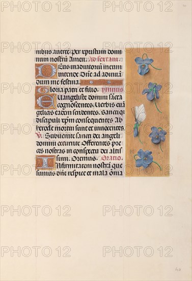 Hours of Queen Isabella the Catholic, Queen of Spain: Fol. 40r, c. 1500. And associates Master of the First Prayerbook of Maximillian (Flemish, c. 1444-1519). Ink, tempera, and gold on vellum; codex: 22.5 x 15.2 cm (8 7/8 x 6 in.)