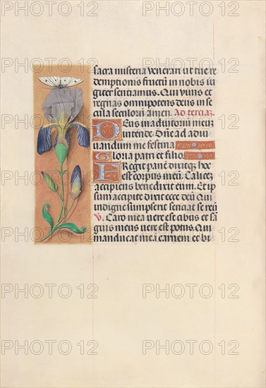 Hours of Queen Isabella the Catholic, Queen of Spain: Fol. 45v, c. 1495-1500. And associates Master of the First Prayerbook of Maximillian (Flemish, c. 1444-1519). Ink, tempera, and gold on vellum; codex: 22.5 x 15.2 cm (8 7/8 x 6 in.).