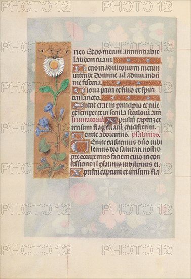 Hours of Queen Isabella the Catholic, Queen of Spain: Fol. 50v, c. 1500. And associates Master of the First Prayerbook of Maximillian (Flemish, c. 1444-1519). Ink, tempera, and gold on vellum; codex: 22.5 x 15.2 cm (8 7/8 x 6 in.)