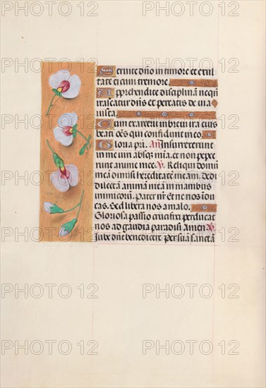 Hours of Queen Isabella the Catholic, Queen of Spain:  Fol. 53v, c. 1500. And associates Master of the First Prayerbook of Maximillian (Flemish, c. 1444-1519). Ink, tempera, and gold on vellum; codex: 22.5 x 15.2 cm (8 7/8 x 6 in.)