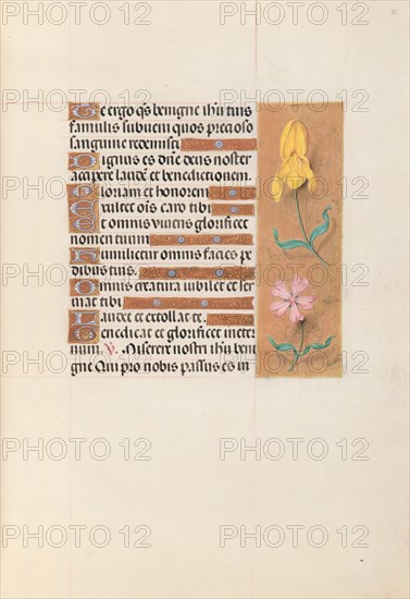 Hours of Queen Isabella the Catholic, Queen of Spain: Fol. 56r, c. 1500. And associates Master of the First Prayerbook of Maximillian (Flemish, c. 1444-1519). Ink, tempera, and gold on vellum; codex: 22.5 x 15.2 cm (8 7/8 x 6 in.)