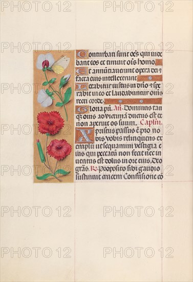 Hours of Queen Isabella the Catholic, Queen of Spain: Fol. 64v, c. 1495-1500. And associates Master of the First Prayerbook of Maximillian (Flemish, c. 1444-1519). Ink, tempera, and gold on vellum; codex: 22.5 x 15.2 cm (8 7/8 x 6 in.).