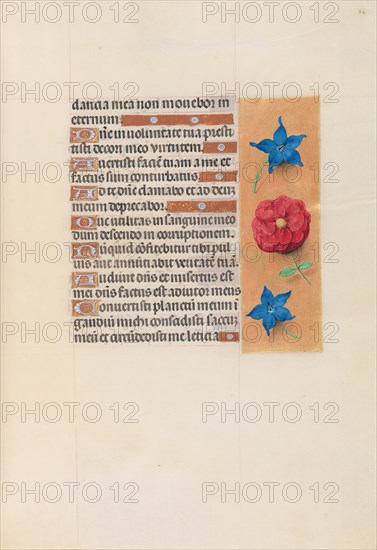 Hours of Queen Isabella the Catholic, Queen of Spain: Fol. 74r, c. 1500. And associates Master of the First Prayerbook of Maximillian (Flemish, c. 1444-1519). Ink, tempera, and gold on vellum; codex: 22.5 x 15.2 cm (8 7/8 x 6 in.)