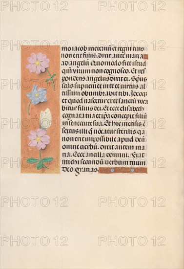 Hours of Queen Isabella the Catholic, Queen of Spain: Fol. 94v, c. 1500. And associates Master of the First Prayerbook of Maximillian (Flemish, c. 1444-1519). Ink, tempera, and gold on vellum; codex: 22.5 x 15.2 cm (8 7/8 x 6 in.)