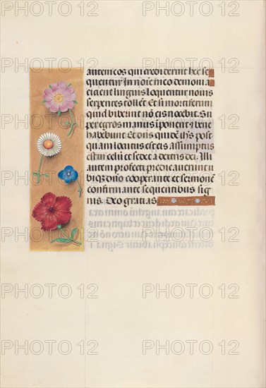 Hours of Queen Isabella the Catholic, Queen of Spain: Fol. 96v, c. 1500. And associates Master of the First Prayerbook of Maximillian (Flemish, c. 1444-1519). Ink, tempera, and gold on vellum; codex: 22.5 x 15.2 cm (8 7/8 x 6 in.)