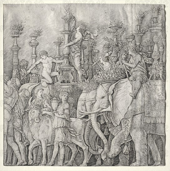 The Triumphs of Caesar: The Elephants, c. 1485-1490. Giulio Campagnola (Italian, 1482-1515). Engraving
