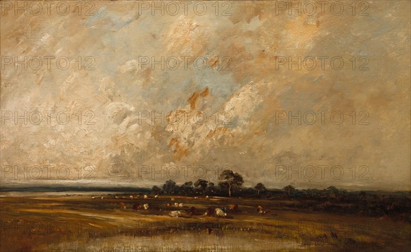 Marshland, 1860s-1870s. Jules Dupré (French, 1811-1889). Oil on fabric; framed: 60.4 x 88.9 x 7.7 cm (23 3/4 x 35 x 3 1/16 in.); unframed: 46.4 x 74.2 cm (18 1/4 x 29 3/16 in.)