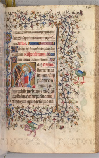 Hours of Charles the Noble, King of Navarre (1361-1425): fol. 265r, St. Andrew, c. 1405. Master of the Brussels Initials and Associates (French). Ink, tempera, and gold on vellum; codex: 20.3 x 15.7 x 7 cm (8 x 6 3/16 x 2 3/4 in.).