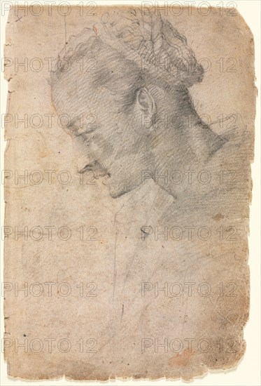 Profile of a Woman's Head, second half 1500s. Alessandro Casolani (Italian, 1552/53-1607). Black chalk(?) with traces of red chalk; sheet: 21.3 x 14 cm (8 3/8 x 5 1/2 in.).
