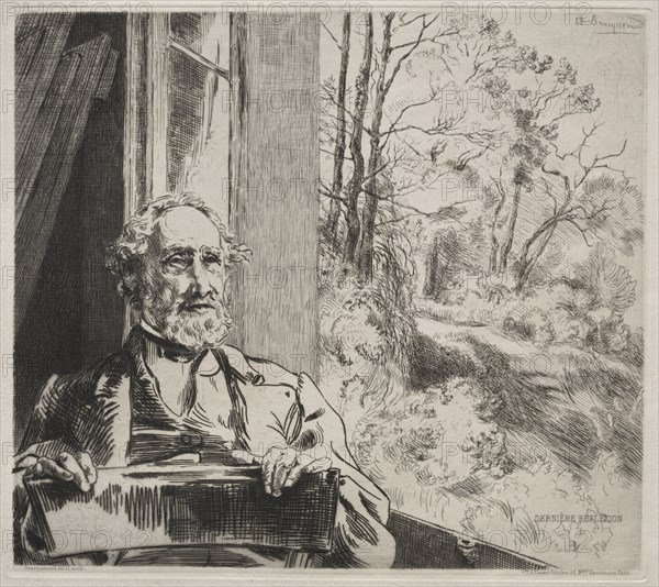 Meyer-Heine, c. 1872. Félix Bracquemond (French, 1833-1914), Alfred Cadart. Etching; sheet: 37 x 44.5 cm (14 9/16 x 17 1/2 in.); plate: 21.7 x 24.3 cm (8 9/16 x 9 9/16 in.)
