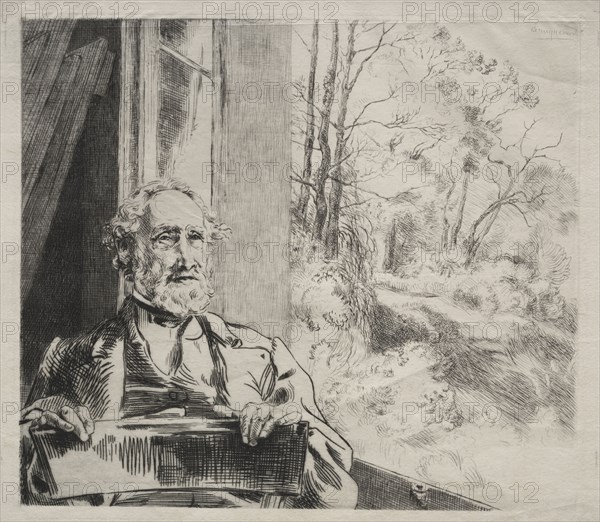 Meyer-Heine, c. 1872. Félix Bracquemond (French, 1833-1914), Alfred Cadart. Etching; sheet: 25 x 36.5 cm (9 13/16 x 14 3/8 in.); plate: 21.8 x 24.5 cm (8 9/16 x 9 5/8 in.).