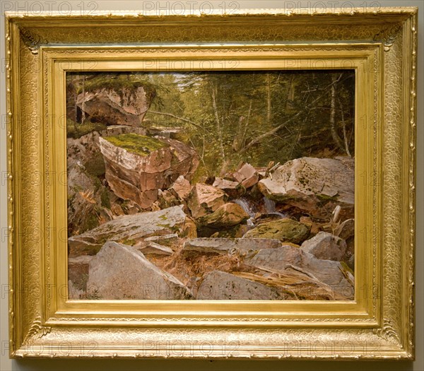 Study, North Conway, New Hampshire, 1851. David Johnson (American, 1827-1908). Oil on canvas; framed: 63.8 x 74.3 x 7 cm (25 1/8 x 29 1/4 x 2 3/4 in.); unframed: 43.2 x 53.3 cm (17 x 21 in.); former: 52 x 62 x 8 cm (20 1/2 x 24 7/16 x 3 1/8 in.).