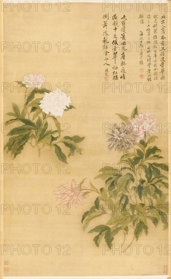 Peonies, 1685. Yun Shouping (Chinese, 1633-1690). Hanging scroll, ink and color on silk; image: 118.4 x 71.8 cm (46 5/8 x 28 1/4 in.); overall: 226.6 x 74.8 cm (89 3/16 x 29 7/16 in.).